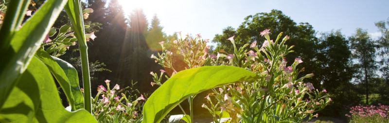 Questions on the environment